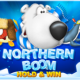 Northern Boom