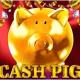 Cash Pig
